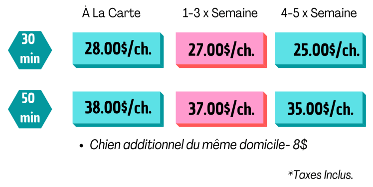 individuelles-promenades-de-chiens-promeneur-de-chiens-promenades-canines-promenades-pour-chiens-montreal-quebec-plateau-mont-royal-mile-end-rosemont-ville-marie