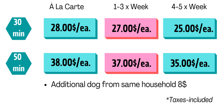 individual-dog-walking-montreal-dog-walker-gog-walking-montreal-dog-montreal-quebec-plateau-mont-royal-mile-end-rosemont-ville-marie